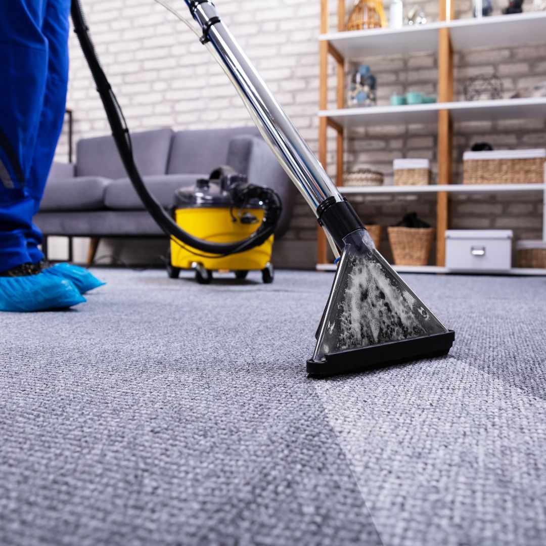 Why You Should Get Your Carpets Cleaned Before (and After) the Event?
