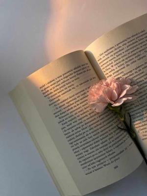 Anonymous_reader11 logo