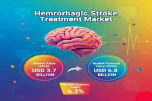 Hemorrhagic Stroke Treatment Market 2025 | Present Scenario and Growth Prospects 2035