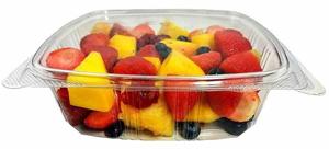 Hinged Deli Containers Market Trends 2025 | Segmentation, Outlook, Industry Report to 2035