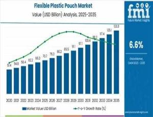 Flexible Plastic Pouch Market 2025 Comprehensive Shares, Historical Trends And Forecast By 2035