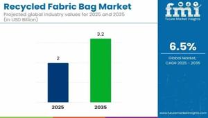 Recycled Fabric Bag Market 2025 Development Status, Competition Analysis, Type and Application 2035