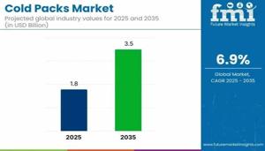 Cold Packs Market : Notable Developments and Geographical Outlook 2025 to 2035