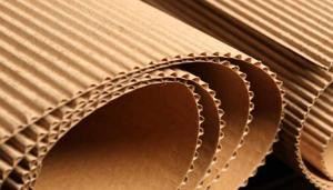Multilayer Flexible Packaging Market 2026 Comprehensive Shares, Historical Trends And Forecast By 2036