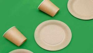 Eco-friendly Paper Plates Market Size, Share, Trends, Application Analysis and Growth from 2026 to 2036