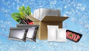 Cold-Shutdown Perishables Pack Market 2026 Comprehensive Shares, Historical Trends And Forecast By 2036