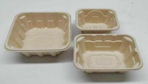 Waste-Fibre Trays Market : Notable Developments and Geographical Outlook 2026 to 2036
