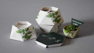 Plantable Packaging Market : Global Industry Analysis, Size, Share, Growth, Trends And Forecast 2025 to 2035