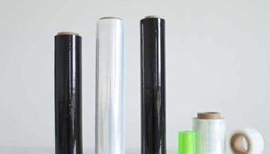 LDPE & LLDPE Sealant Web Films Market Trends 2025 | Segmentation, Outlook, Industry Report to 2035