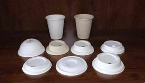 Disposable Lids Market Trends 2025 | Segmentation, Outlook, Industry Report to 2035
