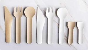 Disposable Cutlery Market 2026 Key Players, End User, Demand and Consumption by 2036