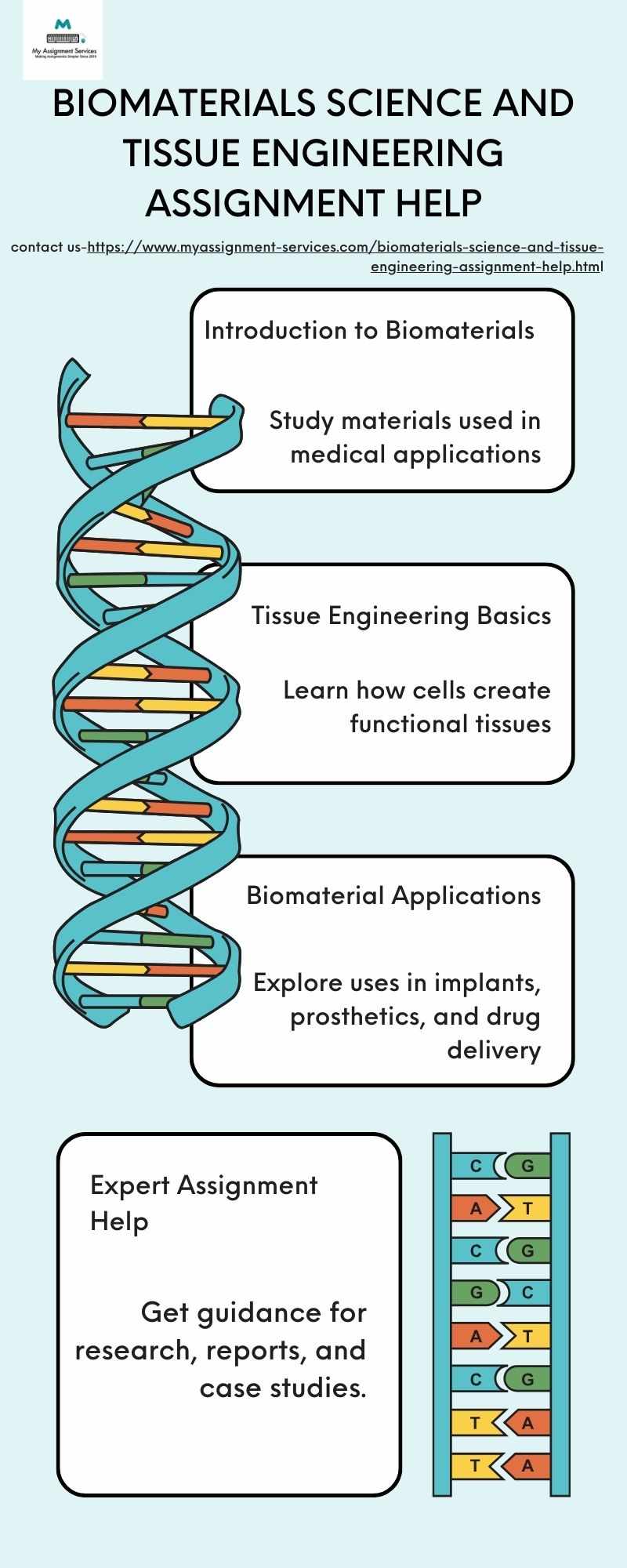 Mastering Success: Biomaterials Science and Tissue Engineering Assignment Help
