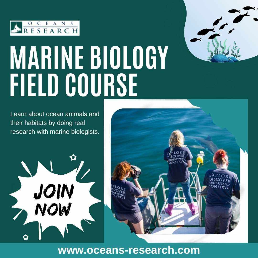 Marine Biology Field Course