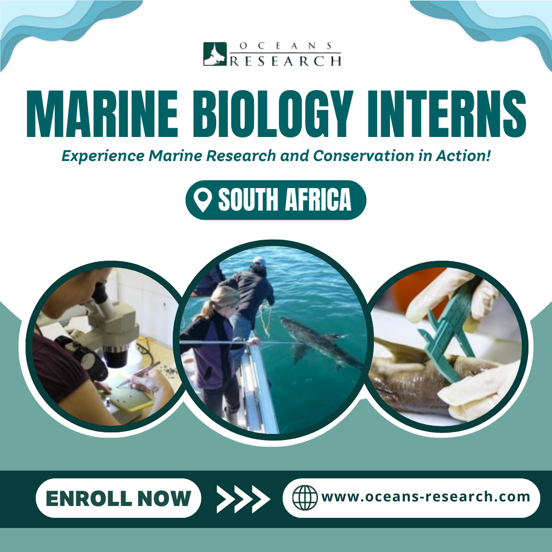 Marine Biology Interns