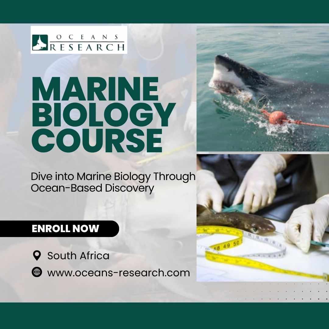 Marine Biology Course South Africa