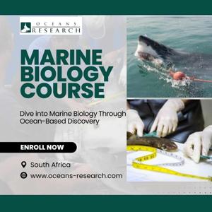 Marine Biology Course South Africa