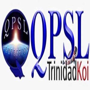 qpslltd logo