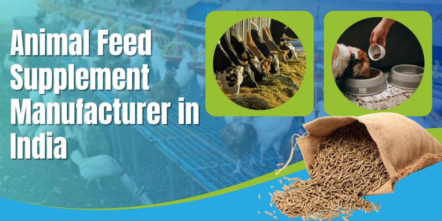 Animal feed supplement manufacturer in India
