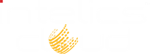 Intelics Cloud Solutions  logo