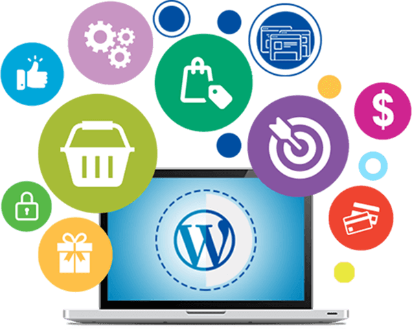 Best Wordpress Development Services In Jaipur | Liyan IT Solution