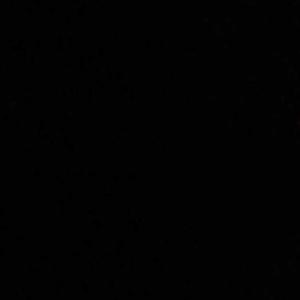 Xvz logo