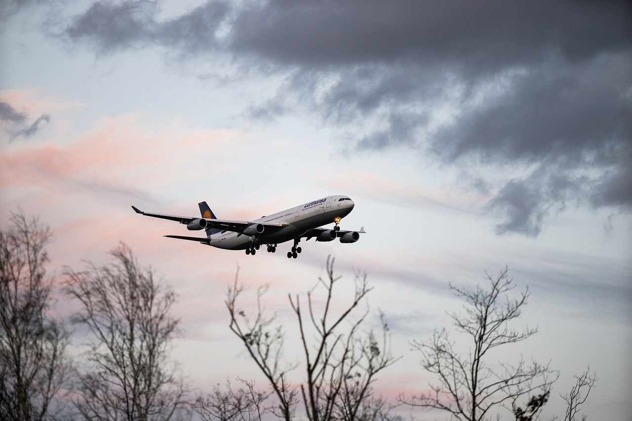 Reach the American Airlines Cancellation Phone Number Easily ✈️
