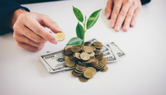 Investment Management Strategies for Long-Term Growth