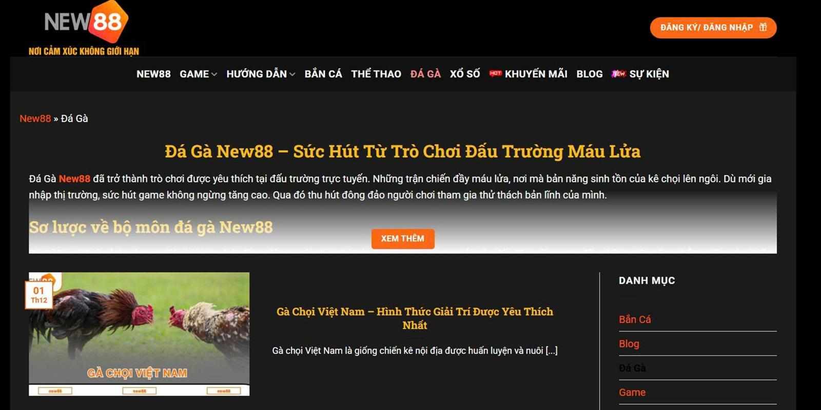 Vì sao Đá Gà New88 được nhiều người chơi tin tưởng