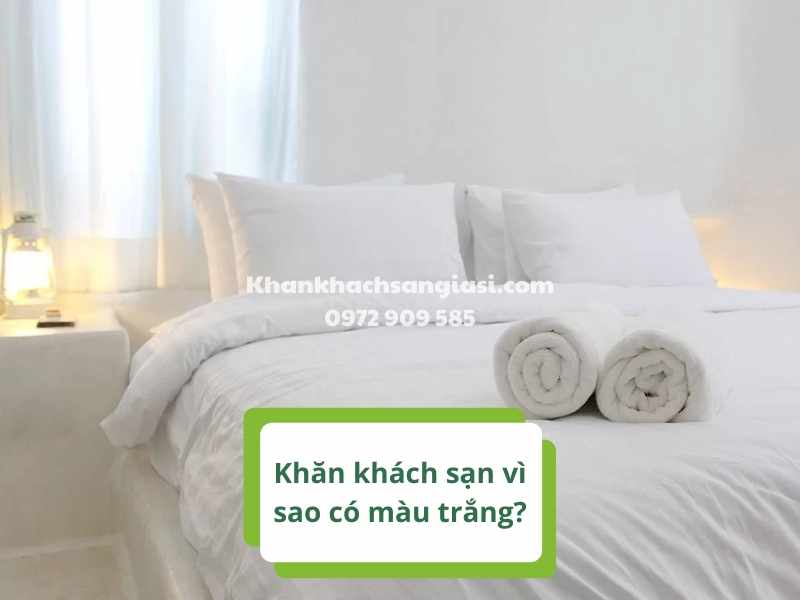 Bí mật đằng sau khăn khách sạn vì sao có màu trắng?