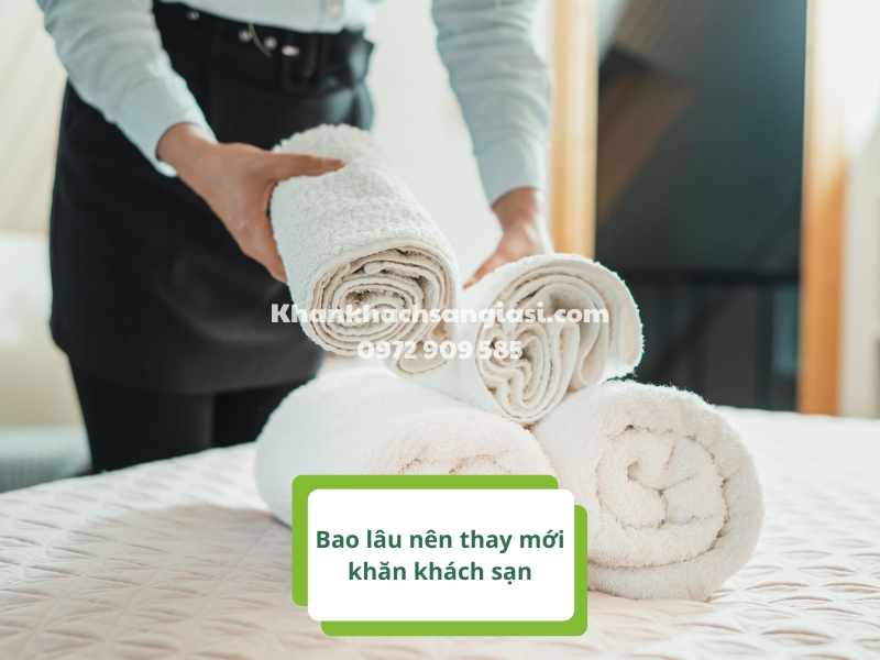 Bao lâu nên thay mới khăn khách sạn? Thời gian ĐỊNH KỲ