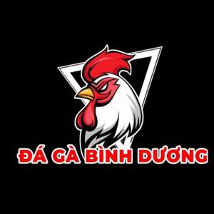 Đá Gà Bình Dương - Tuyển Tập đá Gà Online đẳng Cấp 2025