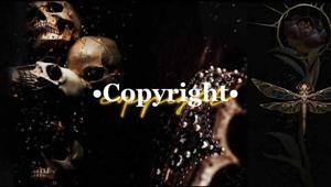 COPYRIGHT & DISCLAIMER