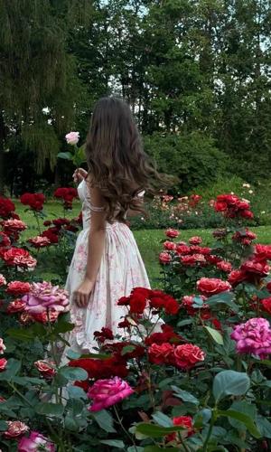 Chapter 32: Our Roses