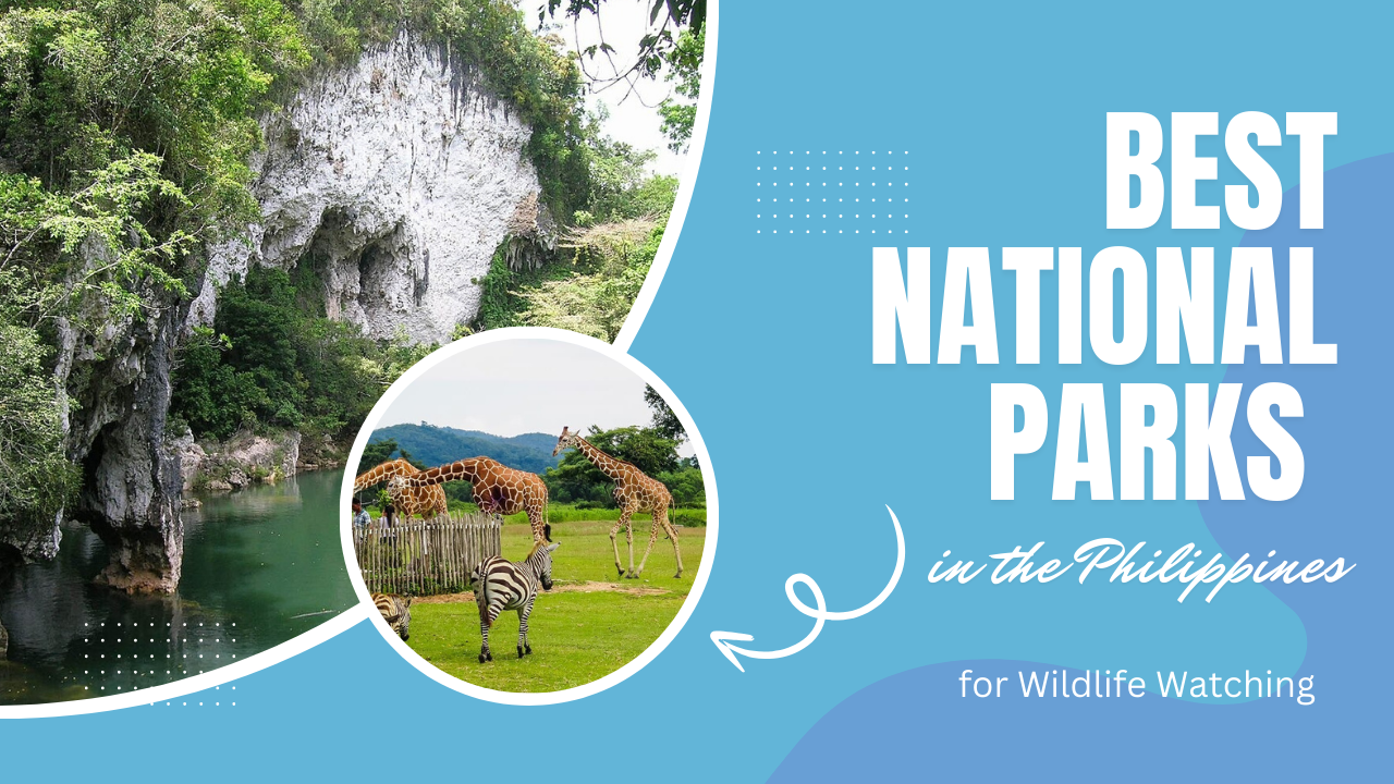 Best National Parks in the Philippines for Wildlife Watching