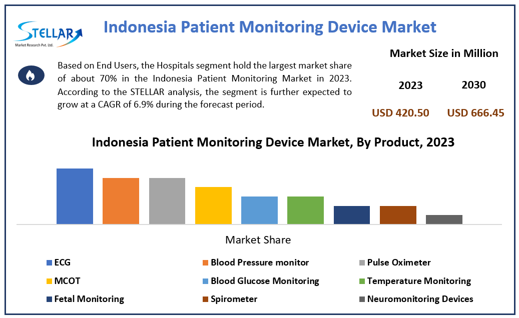 Indonesia Patient Monitoring Market 	Size, Growth Trends, Revenue, Future Plans and Forecast 2030