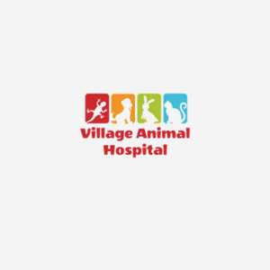 Village Animal Hospital