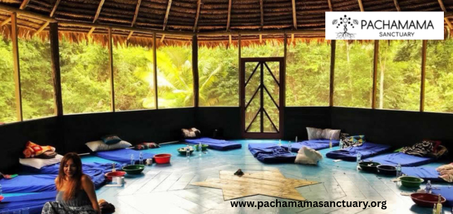 What the psychedelic drug ayahuasca showed me about my life.