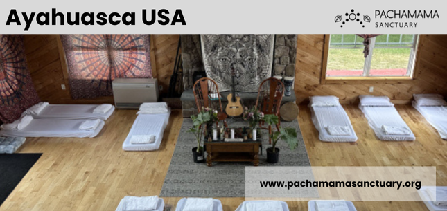 Exploring Ayahuasca in the USA – A Journey with Pachamama Sanctuary