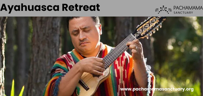 What happens in an ayahuasca retreat?