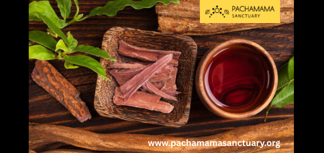 Retreat at Pachamama Sanctuary's Ayahuasca Transformational Experience