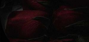 ยฐ Chapter Sixteen