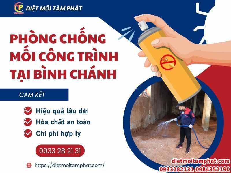 Phòng chống mối công trình tại Bình Chánh UY TÍN 100%