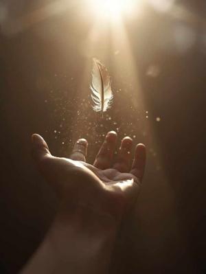 अपने भाई पर 100 मोह्हबत कुर्बानी