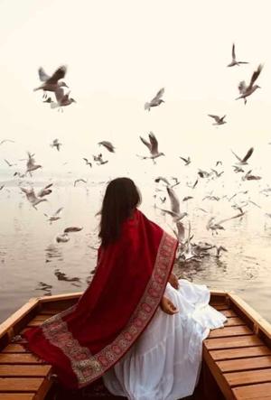 Advik and Mihika's wedding