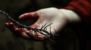 Blood