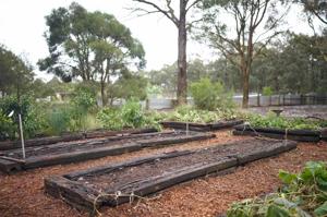 Sustainable Outdoor Projects with Rail Sleepers and Raised Garden Beds