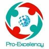 proexcellency solutions  logo