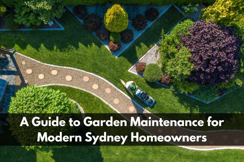A Guide to Garden Maintenance for Modern Sydney Homeowners