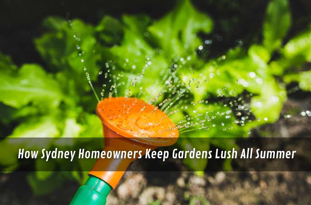 How Sydney Homeowners Keep Gardens Lush All Summer