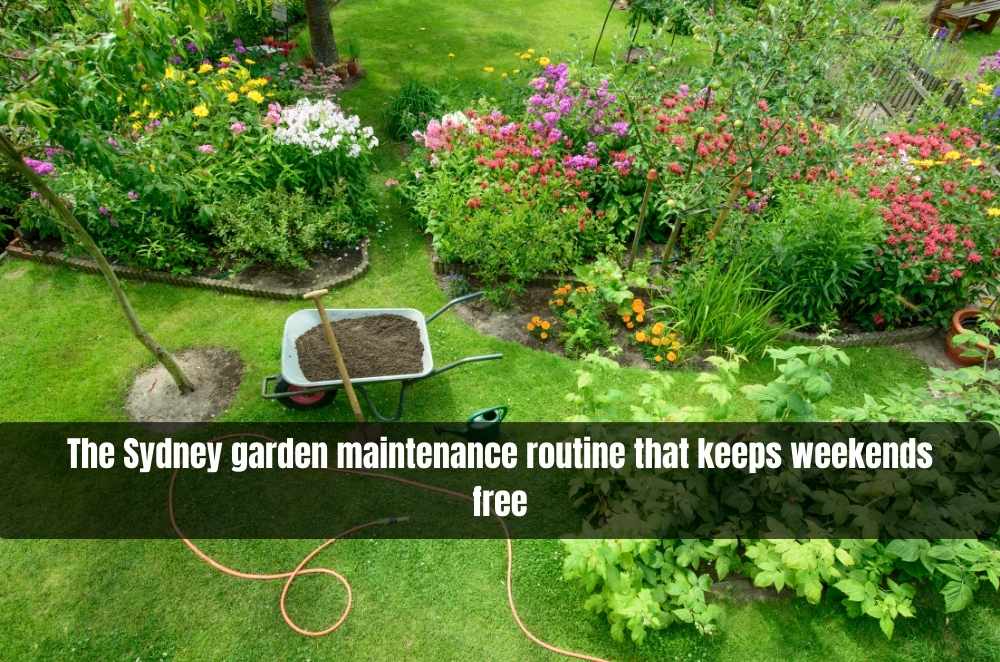 The Sydney garden maintenance routine that keeps weekends free